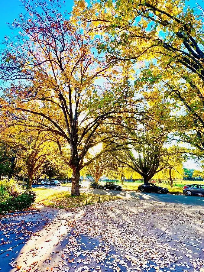 Aparthotel Forrest Hotel & Apartments Canberra